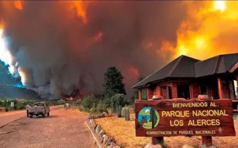 Continúan los incendios en el Parque Nacional Los Alerces