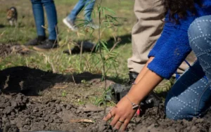 Convocan a plantar 400 árboles en una reserva ecológica
