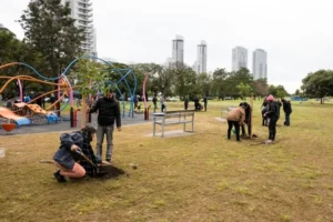plantación de árboles Rosario