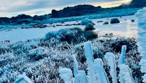 Córdoba: una masa de aire polar provocó heladas severas.
