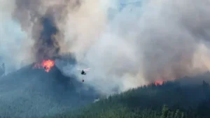 Cortaron la ruta 40 por los incendios en la Patagonia