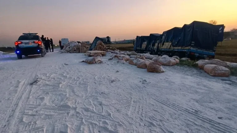 Chocaron camiones y la autopista Rosario-Buenos Aires está cortada