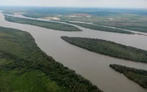 Crearon un parque natural de humedales en Entre Ríos