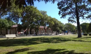 Crueldad animal en Ricardone: entraron a una casa y mataron a un gato