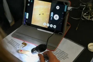 objetivo dengue 2026