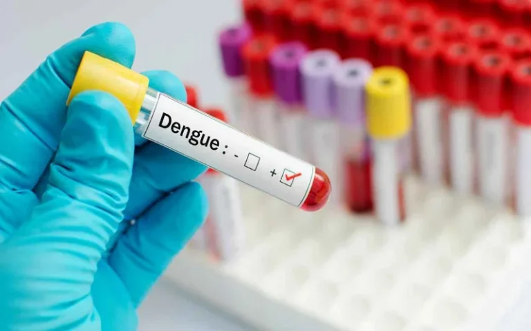 Dengue en Argentina: se registran más de 529 mil contagios