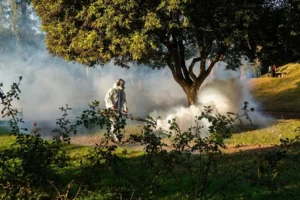 operativos por dengue