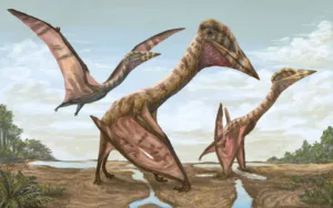 Descubrieron restos fósiles de un antiguo reptil volador