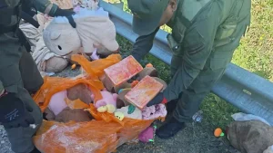 Operativo antidrogas con cargamento oculto en carpinchos de peluche