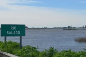 Río Salado: detectaron antibióticos, pesticidas y antiparasitarios