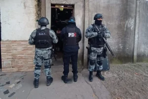 BANDAS DE ENTRADERAS ROSARIO