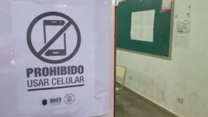 La detuvieron por usar el celular mientras votaba