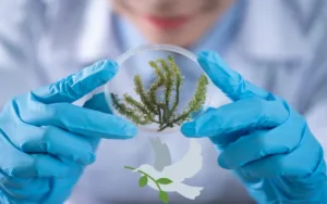 Día Mundial de la Ciencia para la Paz y el Desarrollo