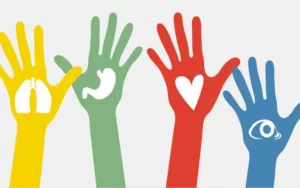 Día Mundial de la Donación de Órganos, Tejidos y Trasplantes