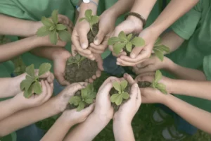 ¿Por qué se conmemora el Día de la Conciencia Ambiental?