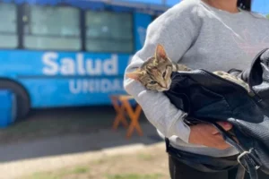 29 de abril día del animal