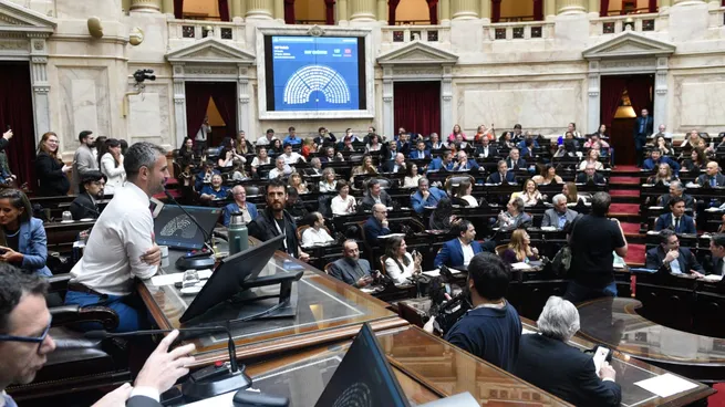La Cámara de Diputados busca revertir los vetos de Milei sobre universidades y salud pediátrica