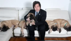Buscan sancionar una ley contra el maltrato animal