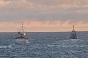 Dos buques extranjeros navegaban desde Malvinas