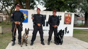 Perros de la Policía de Santa Fe ganaron premios de detección y rescate