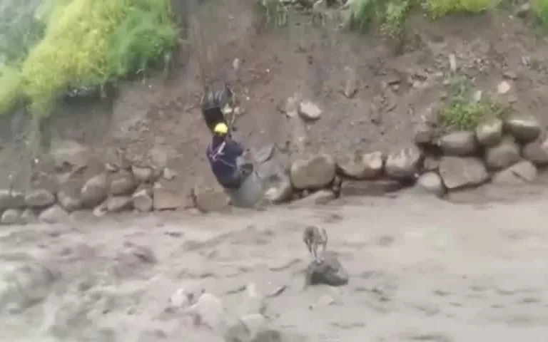 Dramático rescate de un perro atrapado por la corriente de un río