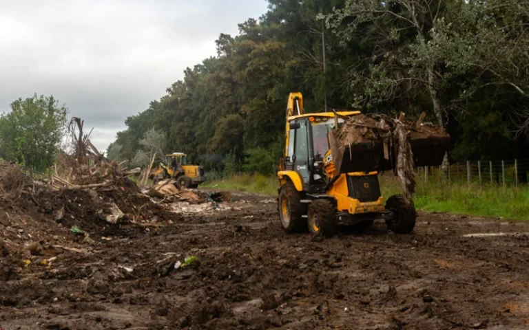 Durante el año se erradicaron 30 basurales a cielo abierto