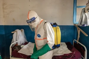 Información básica sobre el virus del ébola