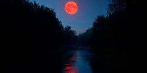 Eclipse lunar total y “luna de sangre”: cuándo verlo.