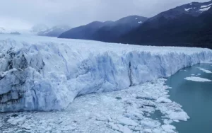 Organizaciones ecologistas se oponen a modificaciones en las leyes ambientales