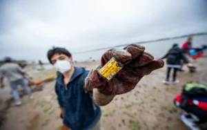 Ecologistas reclaman falta de control de residuos en el río Paraná