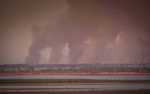 El 2024 cierra como el año con menos incendios en el Delta del Paraná desde 2019