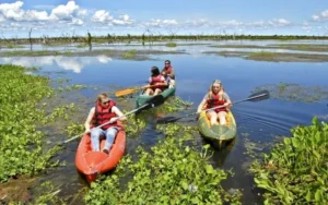 El 84% de los turistas quieren recibir más opciones sustentables