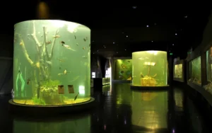 El Acuario del Río Paraná batió récord de visitantes en 2025