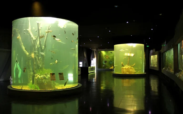 El Acuario del Río Paraná batió récord de visitantes en 2025