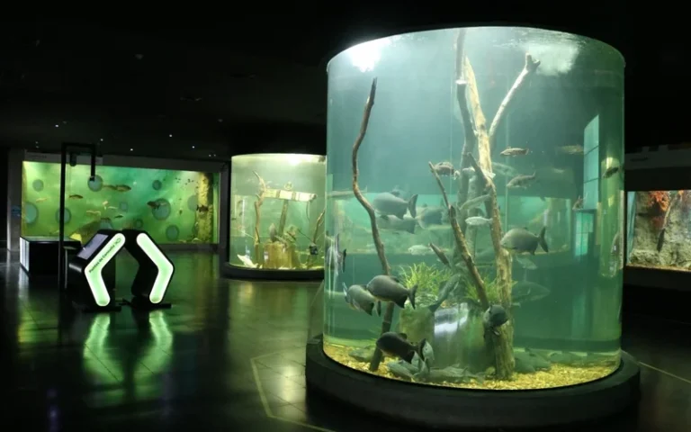 El Acuario del río Paraná lanza el Laboratorio Ciudadano 2025