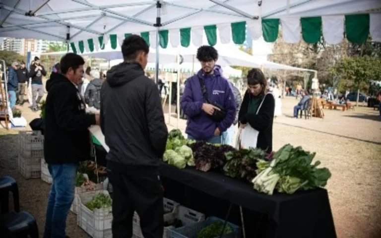 El Biomercado despide el año con una edición nocturna