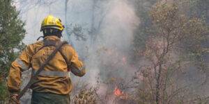 El Bolsón: los incendios intensionales arrasaron miles de hectáreas.