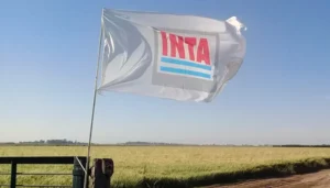 El Ejecutivo audita 70.000 hectáreas del INTA y define cuántas pondrá en venta
