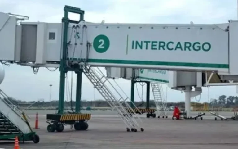 El Gobierno avanza con la privatización de Intercargo