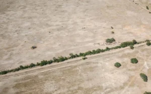 El Gobierno declaró emergencia agropecuaria para Santa Fe