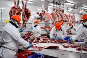 eliminan los derechos de exportación para productos de la categoría vaca