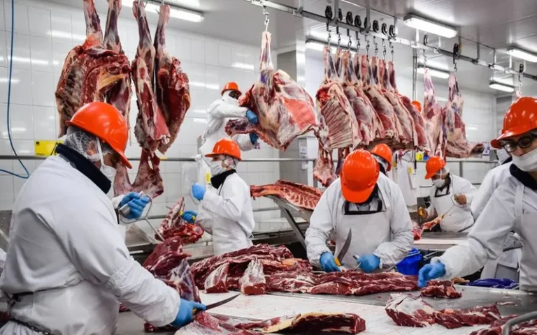 El Gobierno eliminó las retenciones para las exportaciones de carnes