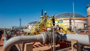 Ley Bases: el Gobierno reglamentó el capítulo energía