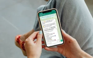 El MuniBot de WhatsApp responde sobre la Fiesta de Colectividades