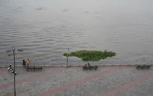 El Río Paraná creció medio metro en un mes