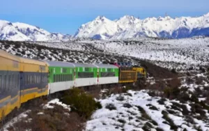 El Tren Patagónico estará suspendido por mantenimiento