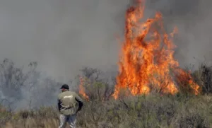 Incendios y evacuados en Mendoza por el Zonda