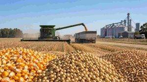 Maquinaria agrícola en plena cosecha en Argentina