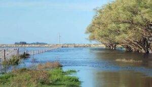 El campo reclama prevención hídrica ante El Niño