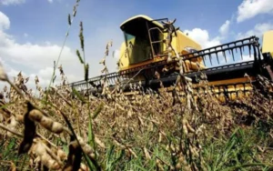 El campo tuvo una de las peores campañas sojeras de los últimos 16 años